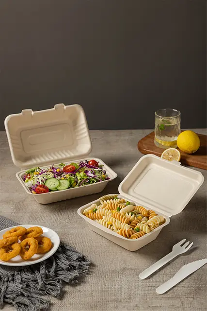 compostable lunch box