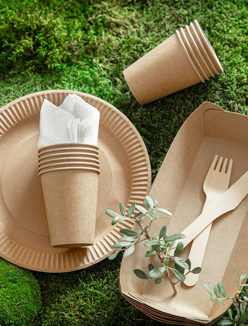 Leading the Way in Eco-Friendly Tableware for Businesses